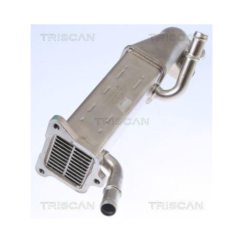 K&uuml;hler, Abgasr&uuml;ckf&uuml;hrung TRISCAN 8813 16106 f&uuml;r CITRO&Euml;N FORD PEUGEOT HITACHI