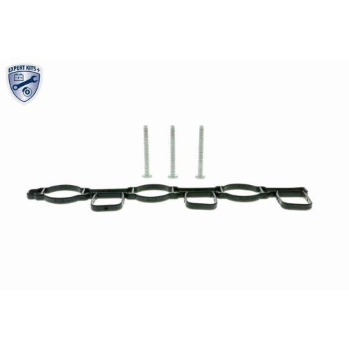 Saugrohrmodul VAICO V10-3948 EXPERT KITS + f&uuml;r AUDI VW, links
