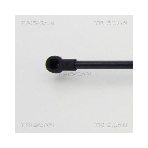 Gasfeder, Koffer-/Laderaum TRISCAN 8710 40240 f&uuml;r HONDA, hinten links