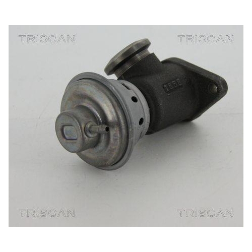 AGR-Ventil TRISCAN 8813 28022 f&uuml;r CITRO&Euml;N PEUGEOT