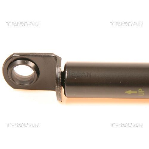 Gasfeder, Koffer-/Laderaum TRISCAN 8710 41209 f&uuml;r DAIHATSU, hinten rechts