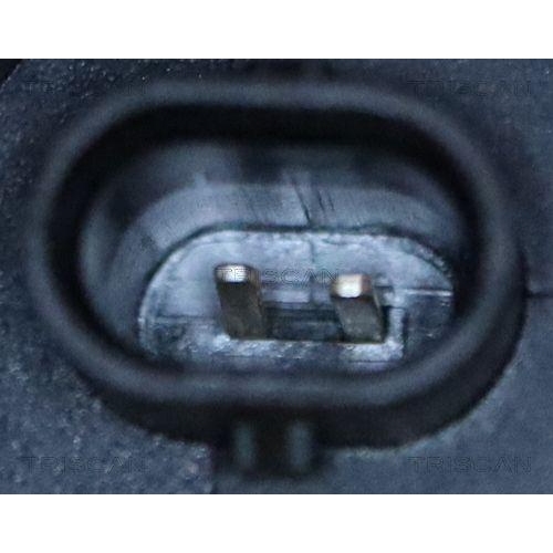 Thermostat, K&uuml;hlmittel TRISCAN 8620 55692 f&uuml;r PORSCHE