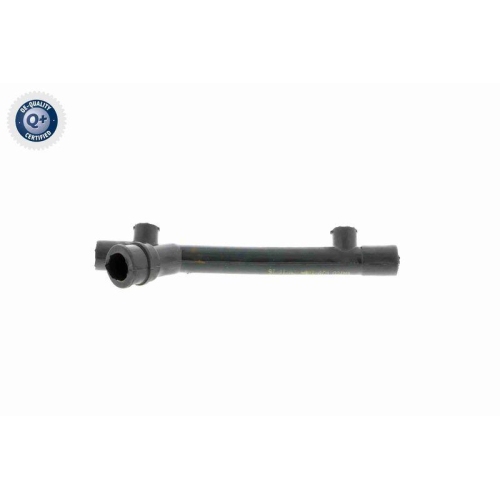 Schlauch, Kurbelgehäuseentlüftung VAICO V30-1884 Q+, Erstausrüsterqualität für