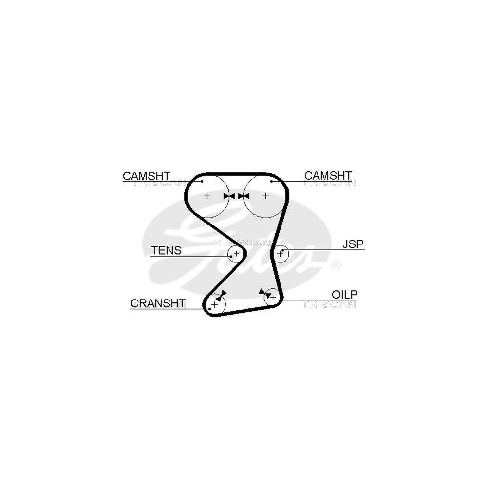 Zahnriemen TRISCAN 8645 5255xs f&uuml;r MITSUBISHI HYUNDAI KIA DANA