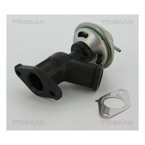 AGR-Ventil TRISCAN 8813 10011 f&uuml;r CITRO&Euml;N FIAT LANCIA PEUGEOT