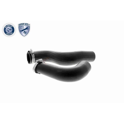 Ladeluftschlauch VAICO V46-0829 EXPERT KITS + f&uuml;r RENAULT