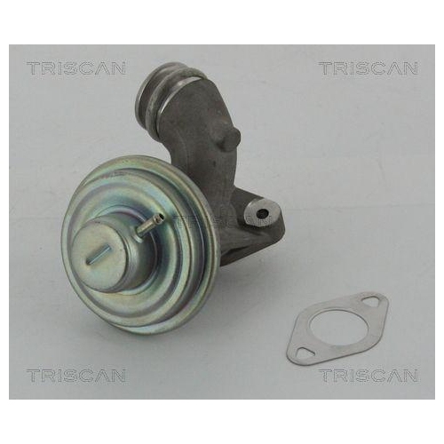 AGR-Ventil TRISCAN 8813 10102 f&uuml;r CITRO&Euml;N FORD PEUGEOT