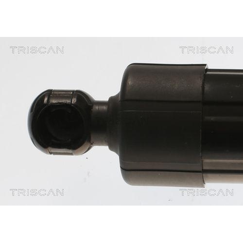 Gasfeder, Koffer-/Laderaum TRISCAN 8710 16302 für FORD, hinten rechts