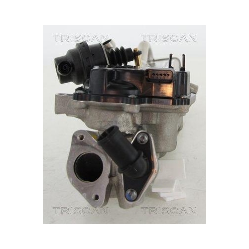 AGR-Ventil TRISCAN 8813 10203 f&uuml;r CITRO&Euml;N FORD VOLVO