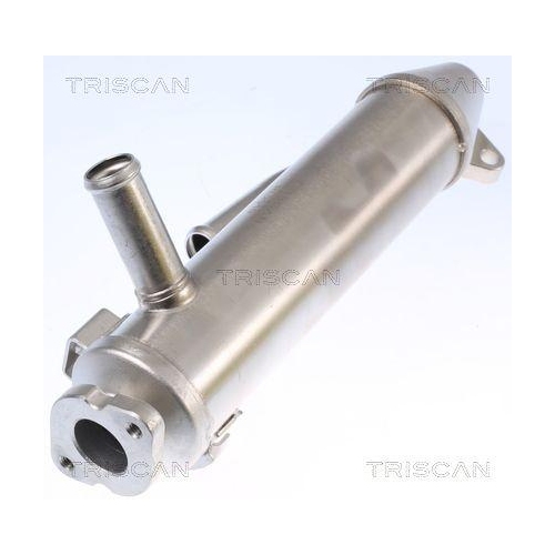 K&uuml;hler, Abgasr&uuml;ckf&uuml;hrung TRISCAN 8813 16107 f&uuml;r FORD