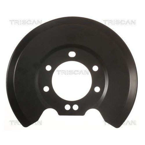 Spritzblech, Bremsscheibe TRISCAN 8125 16208 f&uuml;r FORD, Hinterachse