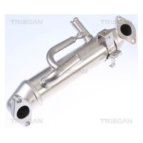 K&uuml;hler, Abgasr&uuml;ckf&uuml;hrung TRISCAN 8813 16108 f&uuml;r FORD