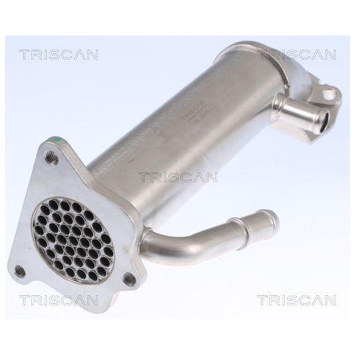 K&uuml;hler, Abgasr&uuml;ckf&uuml;hrung TRISCAN 8813 16109 f&uuml;r FORD HITACHI FORD USA