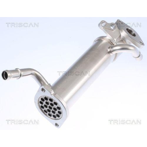 K&uuml;hler, Abgasr&uuml;ckf&uuml;hrung TRISCAN 8813 16110 f&uuml;r FORD