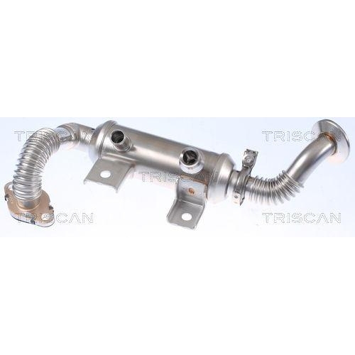 Kühler, Abgasrückführung TRISCAN 8813 16113 für FORD HITACHI