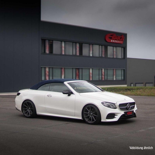 Fahrwerkssatz, Federn EIBACH E10-25-040-04-22 Pro-Kit f&uuml;r, Hinterachse