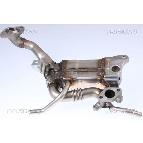 K&uuml;hler, Abgasr&uuml;ckf&uuml;hrung TRISCAN 8813 24105 f&uuml;r OPEL VAUXHALL CHEVROLET