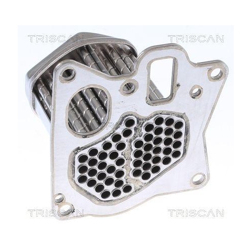 K&uuml;hler, Abgasr&uuml;ckf&uuml;hrung TRISCAN 8813 24107 f&uuml;r OPEL SAAB VAUXHALL