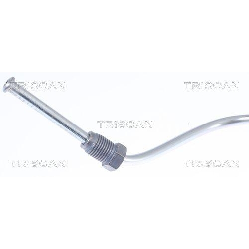 Bremsschlauch TRISCAN 8150 25229 f&uuml;r RENAULT, Hinterachse links, au&szlig;en