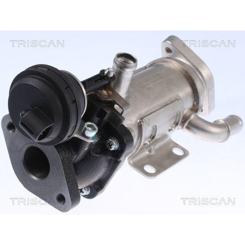 K&uuml;hler, Abgasr&uuml;ckf&uuml;hrung TRISCAN 8813 25101 f&uuml;r NISSAN OPEL RENAULT VAUXHALL