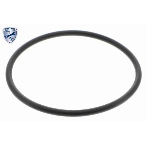 Hydraulikfilter, Automatikgetriebe VAICO V10-4722 EXPERT KITS + für AUDI SEAT VW