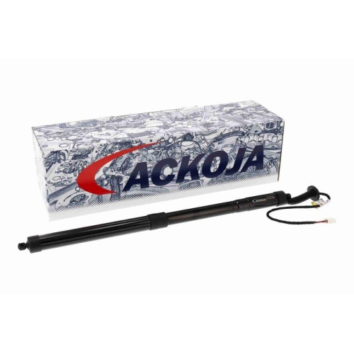 ACKOJA A70-55-0004 Elektromotor, Heckklappe Green Mobility Parts f&uuml;r LEXUS
