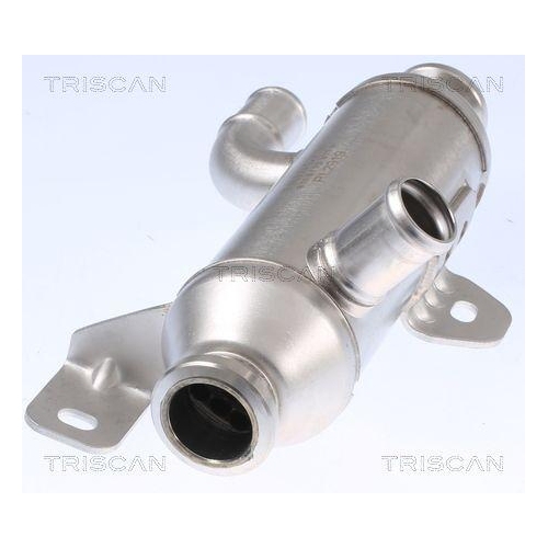 K&uuml;hler, Abgasr&uuml;ckf&uuml;hrung TRISCAN 8813 28101 f&uuml;r CITRO&Euml;N PEUGEOT