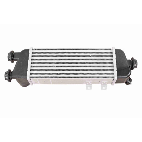 ACKOJA A53-60-0006 Ladeluftk&uuml;hler Original ACKOJA Qualit&auml;t f&uuml;r KIA