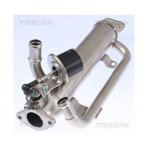 Kühler, Abgasrückführung TRISCAN 8813 29320 für AUDI SEAT SKODA VW HITACHI