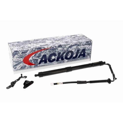 ACKOJA A70-55-0010 Elektromotor, Heckklappe Green Mobility Parts f&uuml;r TOYOTA