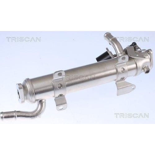 K&uuml;hler, Abgasr&uuml;ckf&uuml;hrung TRISCAN 8813 29322 f&uuml;r AUDI SEAT SKODA VW HITACHI