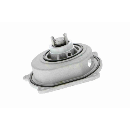 Wasserpumpe, Motorkühlung VAICO V48-50006 Original VAICO Qualität für LAND ROVER
