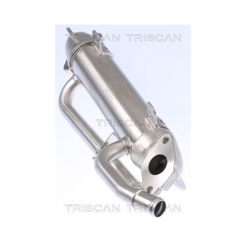 Kühler, Abgasrückführung TRISCAN 8813 29324 für AUDI SKODA VW HITACHI