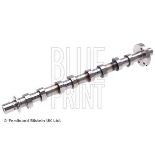 BLUE PRINT ADBP610515 Nockenwelle f&uuml;r NISSAN OPEL RENAULT VAUXHALL, Auslassseite