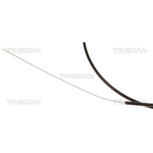 Luftklappenwelle, Vergaser TRISCAN 8140 91002 für