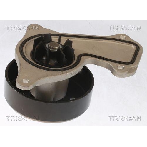 Wasserpumpe, Motork&uuml;hlung TRISCAN 8600 25095 f&uuml;r NISSAN RENAULT