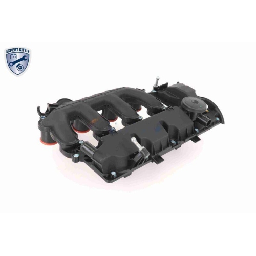 Zylinderkopfhaube VAICO V42-1046 EXPERT KITS + f&uuml;r CITRO&Euml;N FIAT FORD PEUGEOT