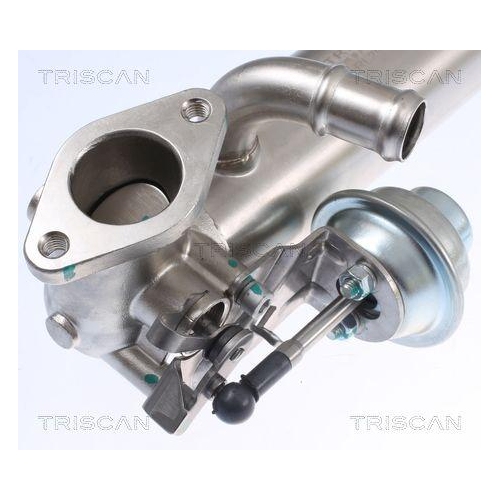 K&uuml;hler, Abgasr&uuml;ckf&uuml;hrung TRISCAN 8813 29326 f&uuml;r VW HITACHI