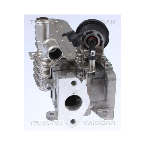 K&uuml;hler, Abgasr&uuml;ckf&uuml;hrung TRISCAN 8813 29328 f&uuml;r AUDI SEAT SKODA VW HITACHI