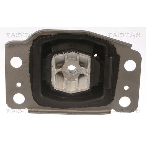 Lagerung, Motor TRISCAN 8505 10137 f&uuml;r FORD VOLVO FORD USA, links