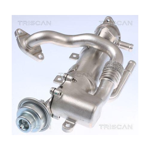 K&uuml;hler, Abgasr&uuml;ckf&uuml;hrung TRISCAN 8813 29329 f&uuml;r AUDI SEAT