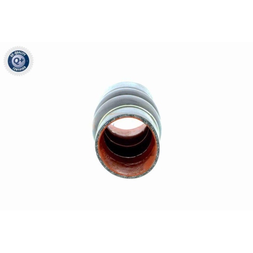 Ladeluftschlauch VAICO V25-0949 Q+, Erstausr&uuml;sterqualit&auml;t f&uuml;r FORD