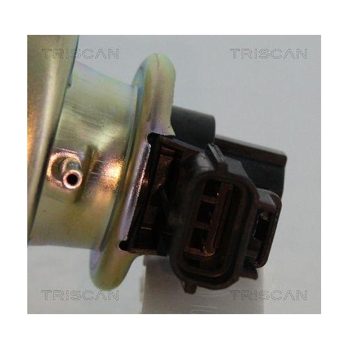 AGR-Ventil TRISCAN 8813 16102 f&uuml;r FORD