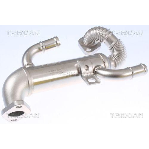 K&uuml;hler, Abgasr&uuml;ckf&uuml;hrung TRISCAN 8813 29332 f&uuml;r SEAT SKODA VW HITACHI