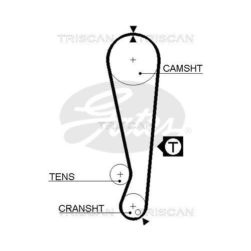Zahnriemen TRISCAN 8645 5105 für DANA