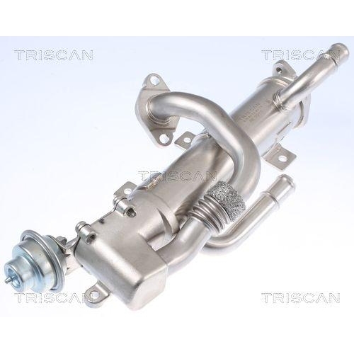 Kühler, Abgasrückführung TRISCAN 8813 29333 für AUDI HITACHI