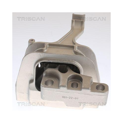 Lagerung, Motor TRISCAN 8505 29129 f&uuml;r AUDI SEAT SKODA VW CUPRA, rechts