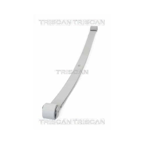 Federnpaket TRISCAN 8765 10006 f&uuml;r CITRO&Euml;N FIAT PEUGEOT, Hinterachse
