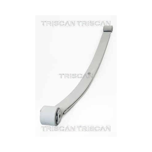 Federnpaket TRISCAN 8765 10007 f&uuml;r CITRO&Euml;N FIAT PEUGEOT, Hinterachse