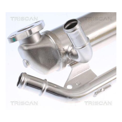 K&uuml;hler, Abgasr&uuml;ckf&uuml;hrung TRISCAN 8813 29335 f&uuml;r AUDI SEAT SKODA VW